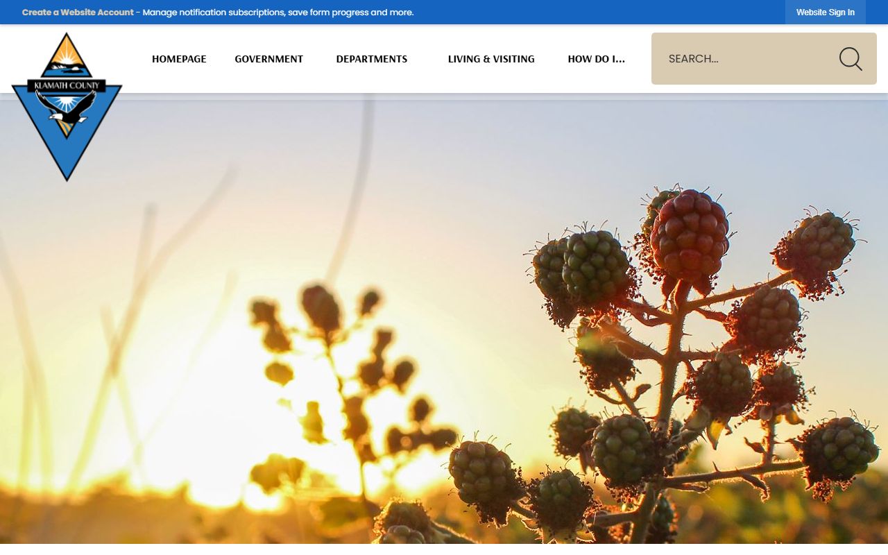 Klamath County website for accessing jail viewer and busted mugshots in Klamath Falls Oregon